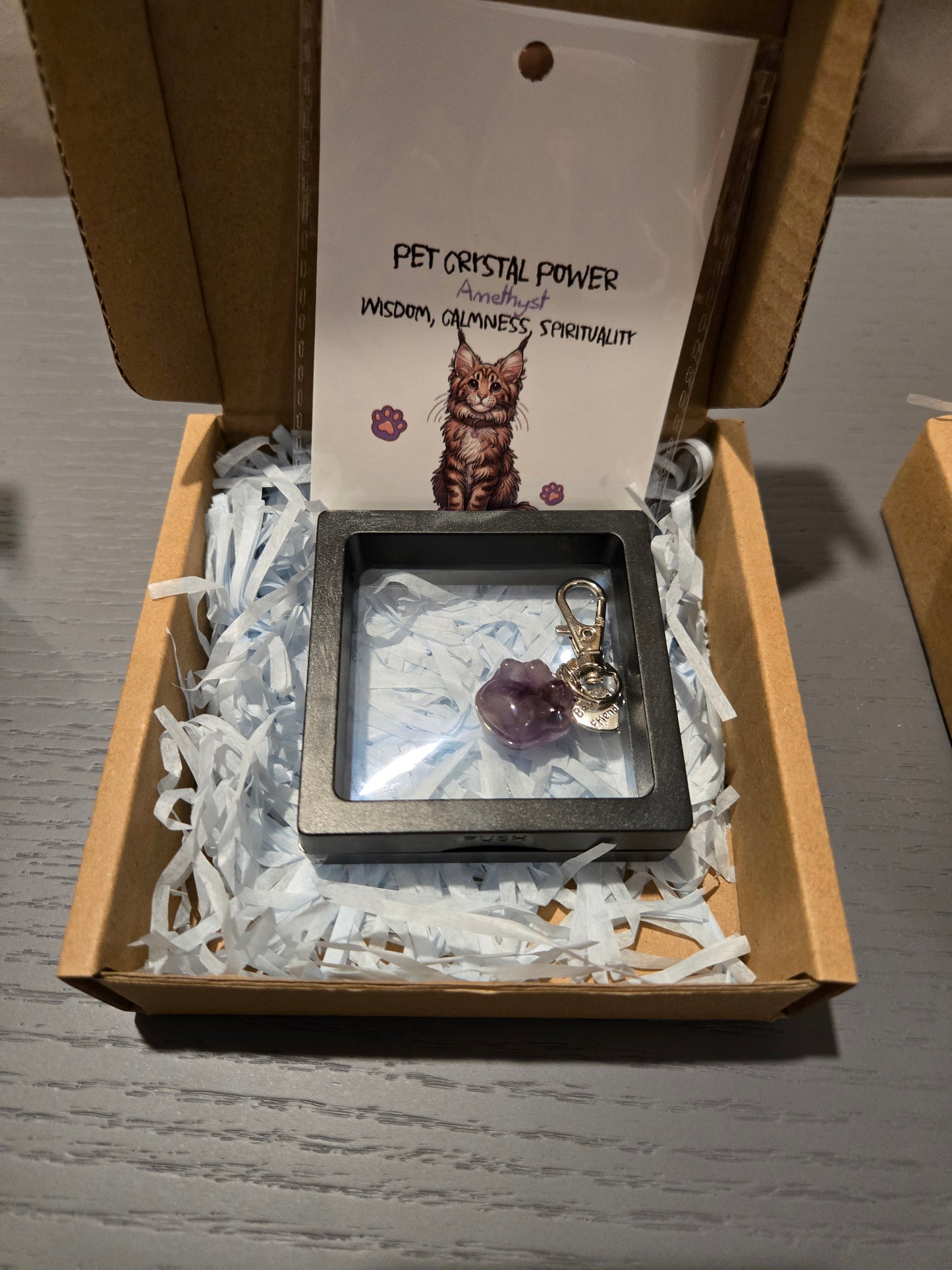 Crystal Cat Paw Pendant