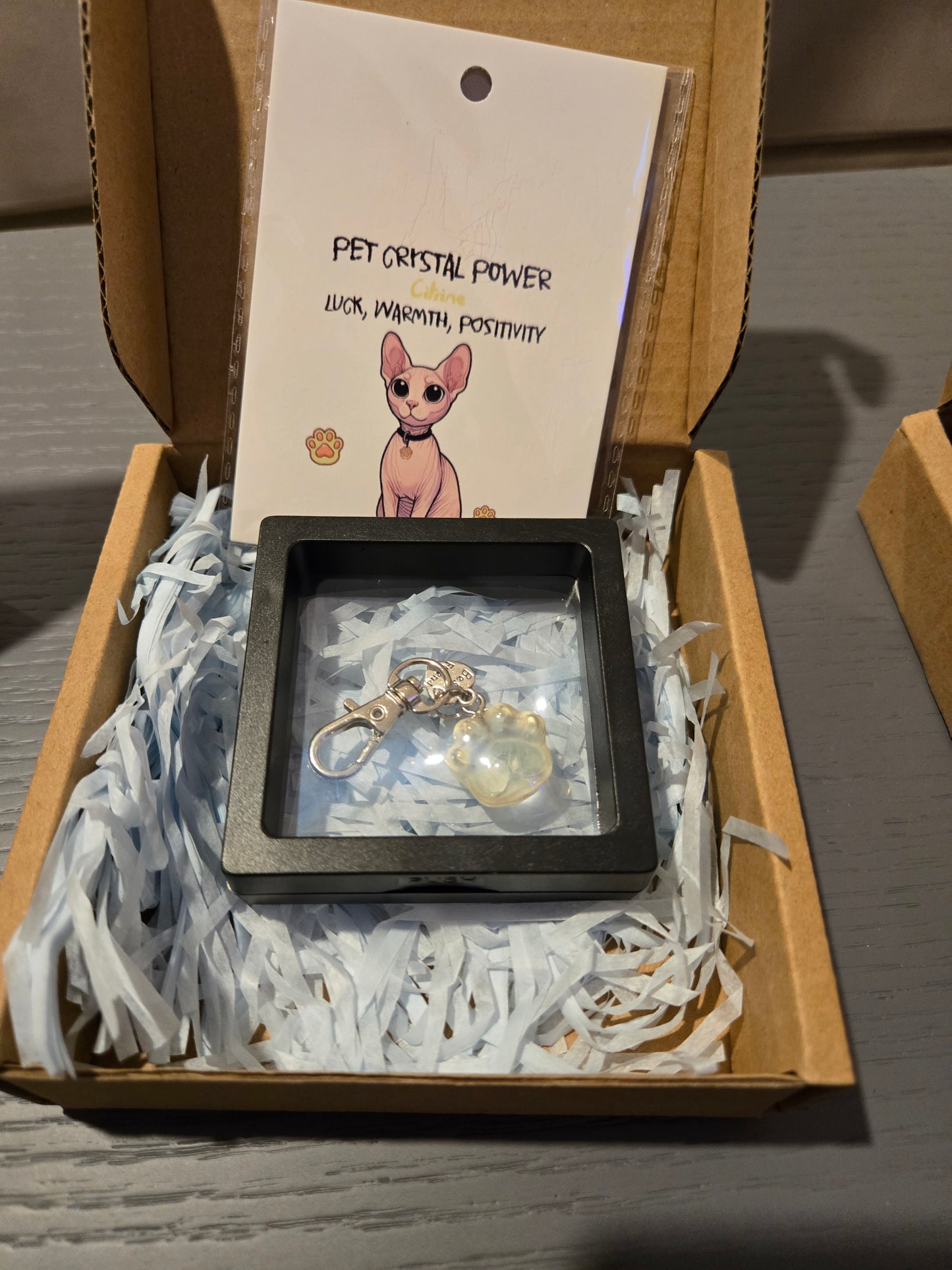 Crystal Cat Paw Pendant