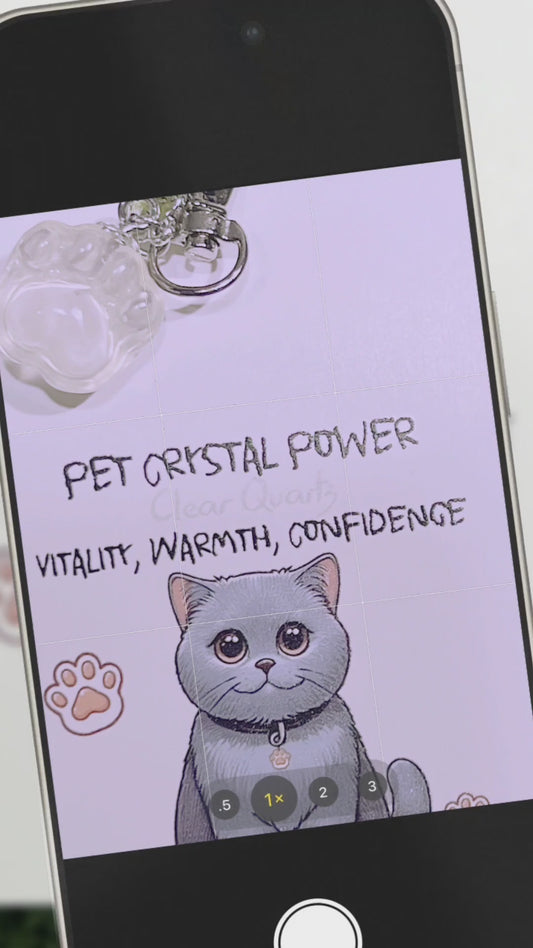 Crystal Cat Paw Pendant